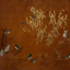 Gaston SUISSE (1896-1988) - Colibris dans les orchidées tigrées
